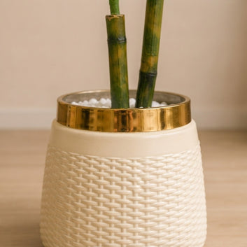 Golden Rim Elegance Artificial Plant
