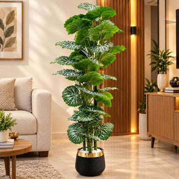 Premium Variegated Leaf Planter