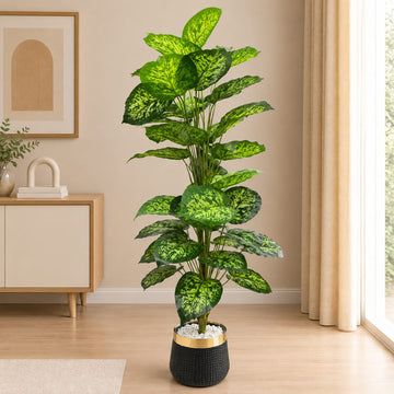 Imported Artificial Dieffenbachia Planter