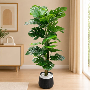 Imported Compact Split-Leaf Planter