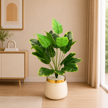 Golden Rim Pot Tabletop Palm Plant
